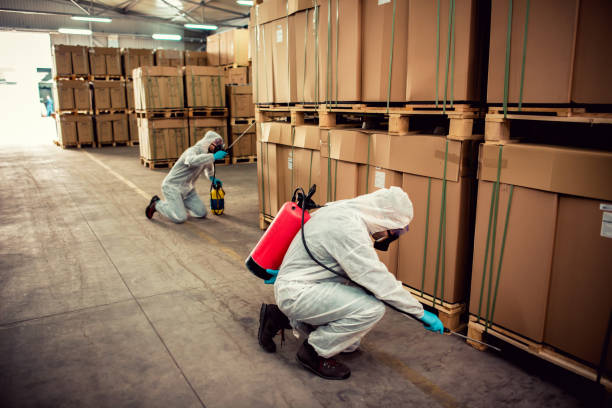 Best Pest Prevention Services  in Pelican Rapids, MN