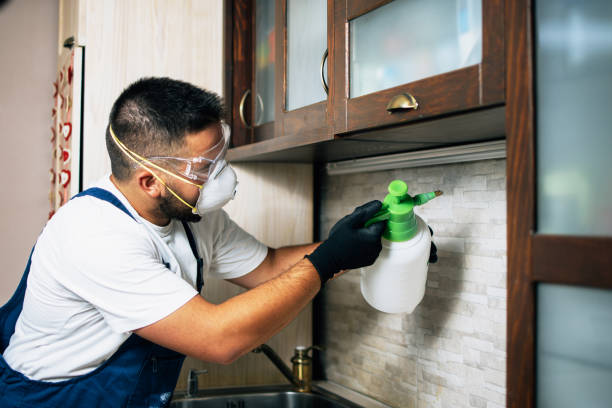 Best Commercial Pest Control Services  in Pelican Rapids, MN
