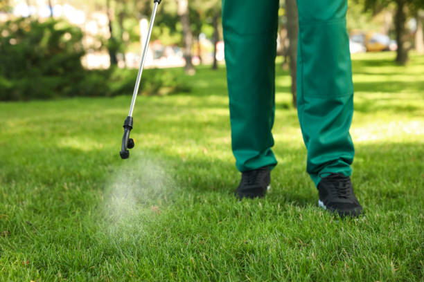 Reliable Pelican Rapids, MN Pest Control Solutions