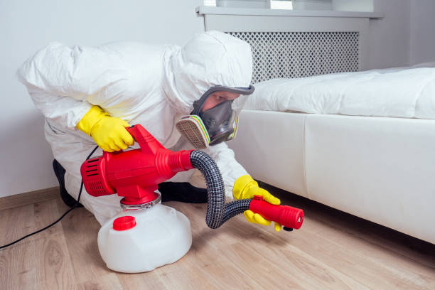 Best Wasp Removal Services  in Pelican Rapids, MN