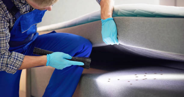 Best Local Pest Control Services  in Pelican Rapids, MN