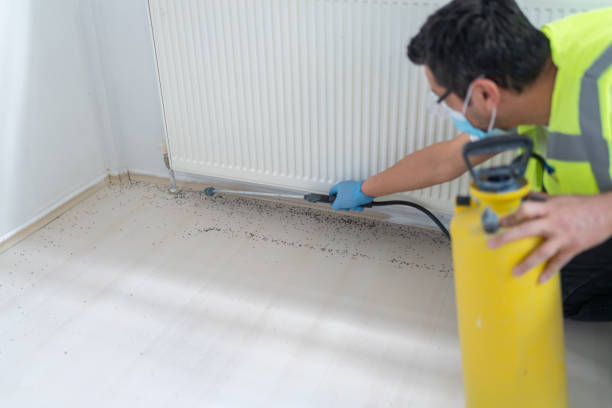 Best Bed Bug Extermination  in Pelican Rapids, MN